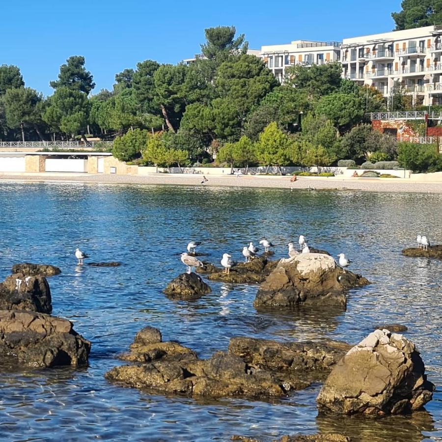 Vila Tena Rovinj Croatia 외부 사진