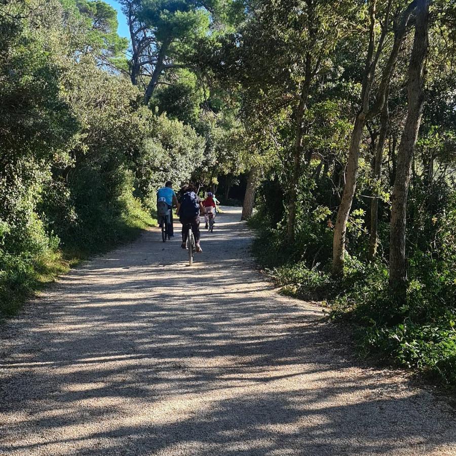 Vila Tena Rovinj Croatia 외부 사진