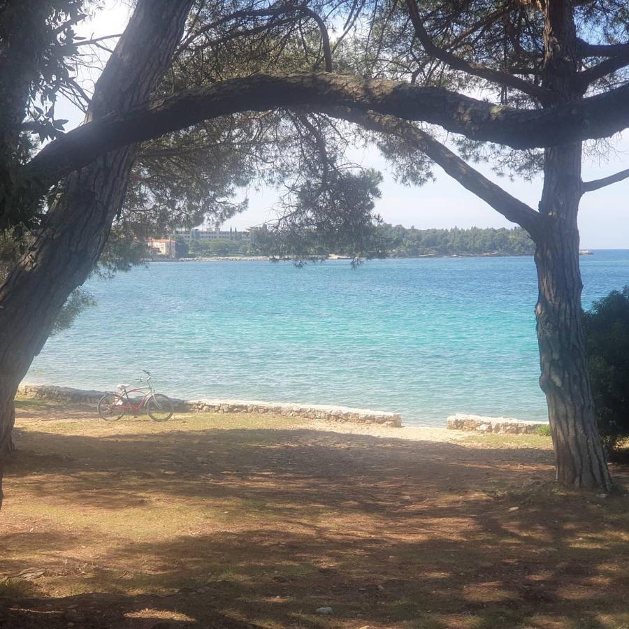 Vila Tena Rovinj Croatia 외부 사진