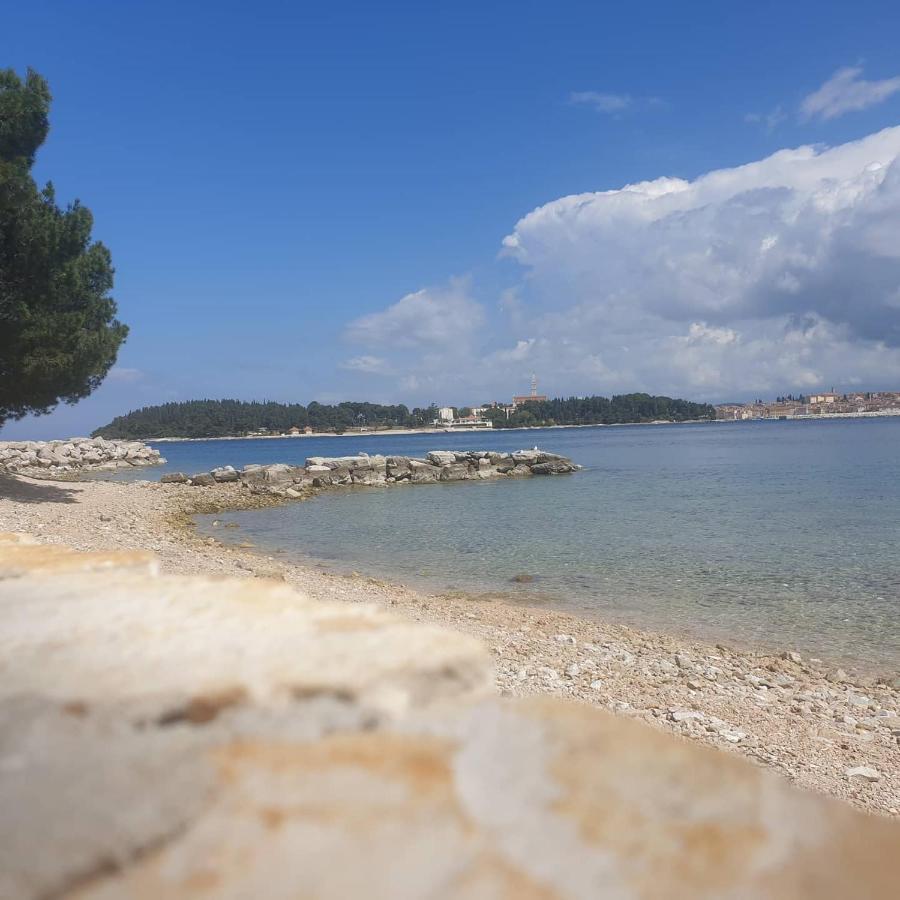 Vila Tena Rovinj Croatia 외부 사진